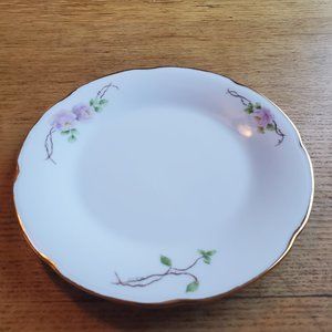 Vintage Hand Painted Salad Plates - Roses (6 Plates in set) gilded edge